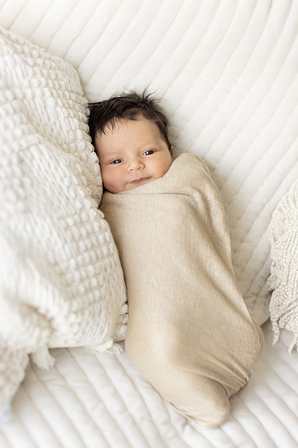 Baby Portraits by Alison Taylor